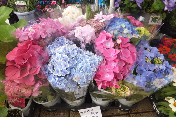 DSCF2612.JPG