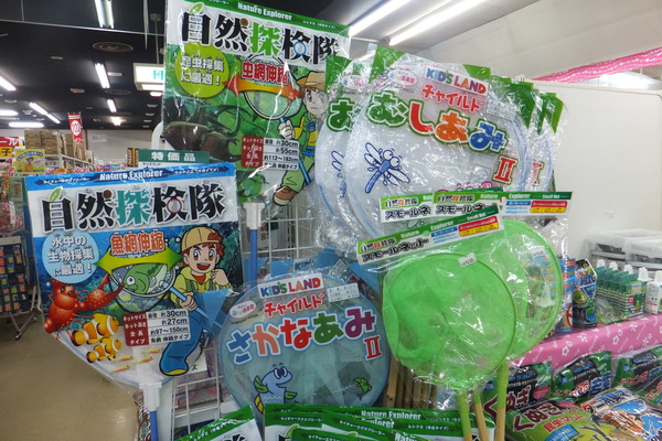 DSCF2660.JPG