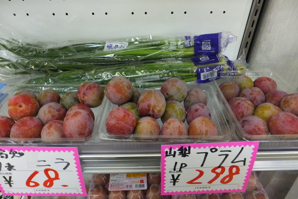 DSCF2844.JPG