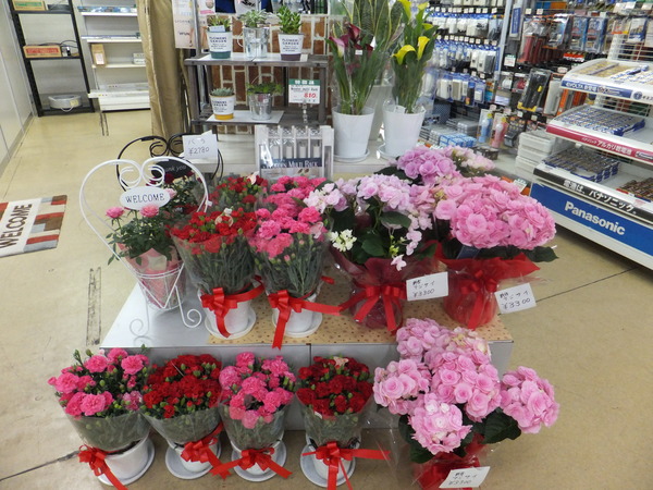 DSCF3540.JPG