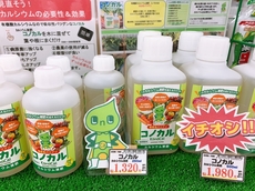 コノカル.jpg