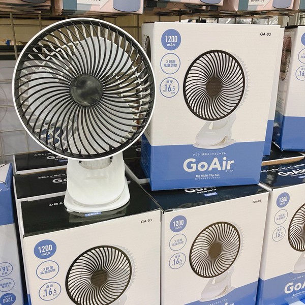 fann.jpg