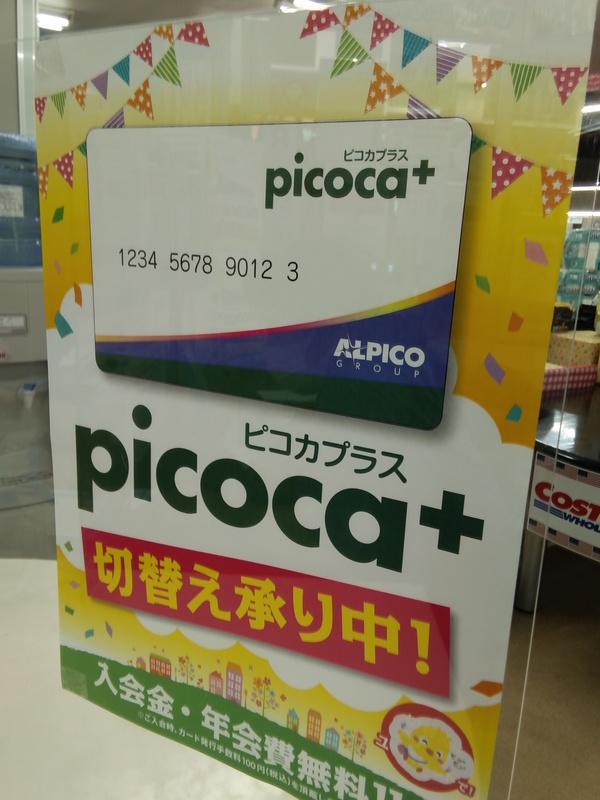 ピコカ.JPG