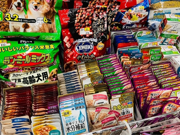 ジャペル1.jpg